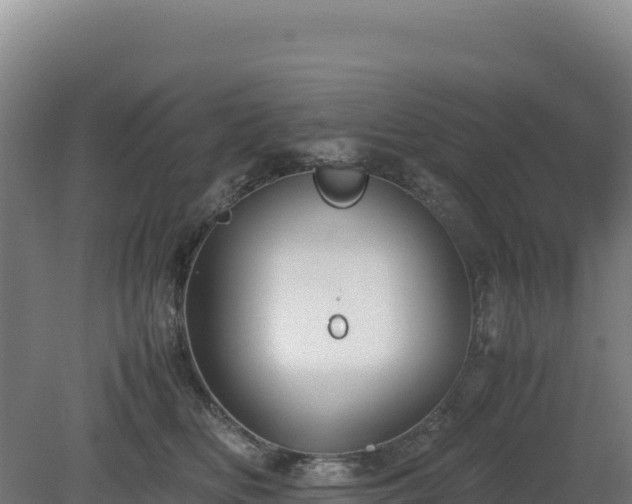 X0000081450518200701191717