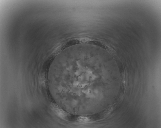 X0000081450519200701191717