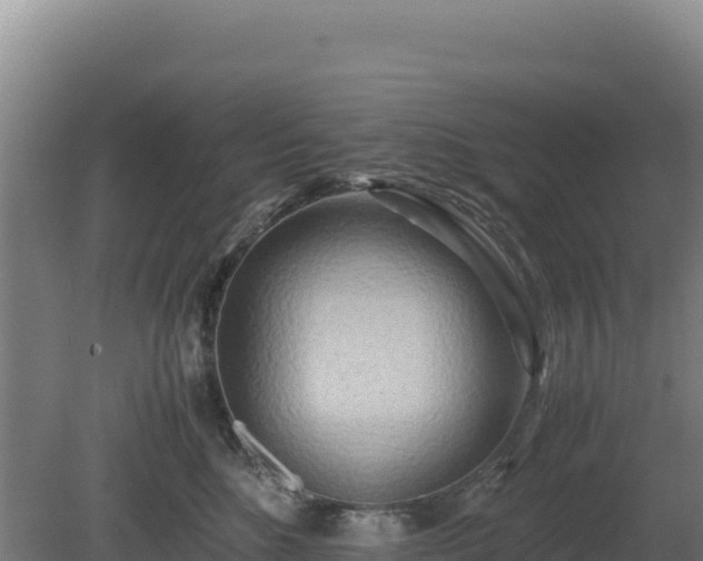 X0000081450520200701191717