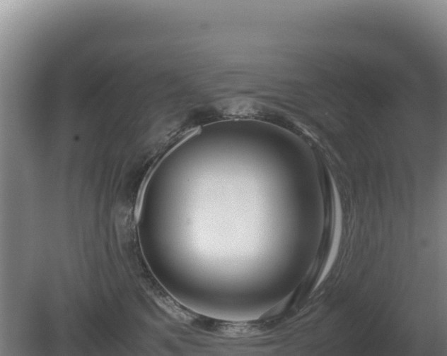 X0000081450521200701191717