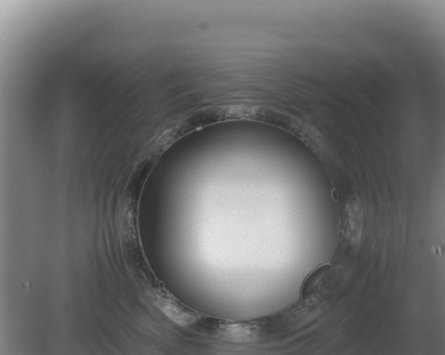 X0000081450522200701191717