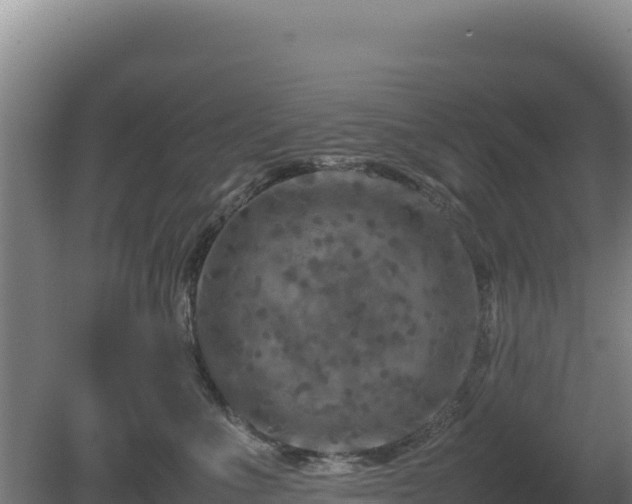 X0000081450523200701191717