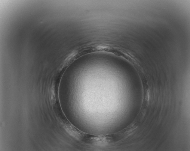 X0000081450524200701191717