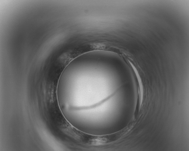 X0000081450525200701191717