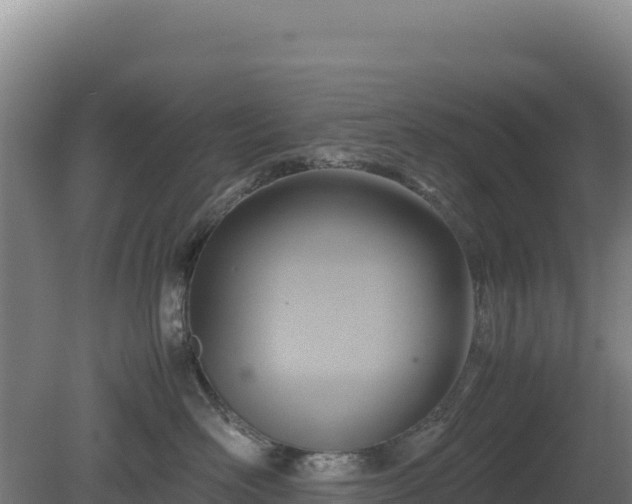 X0000081450526200701191717