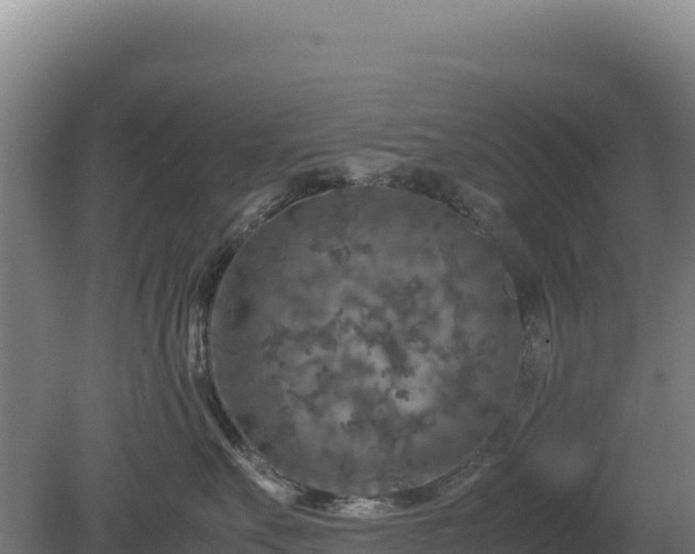 X0000081450527200701191717