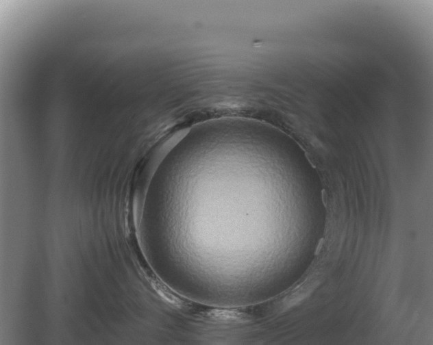 X0000081450528200701191717