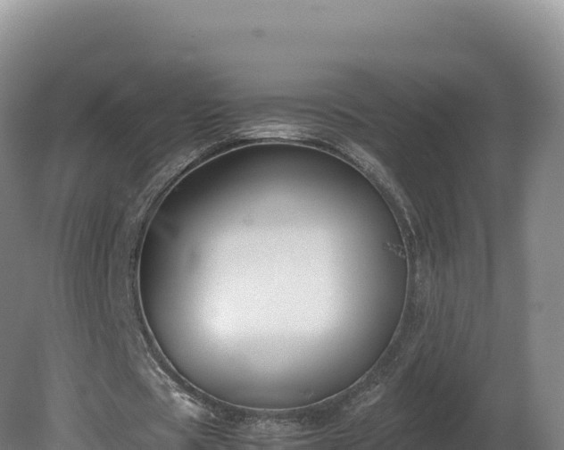 X0000081450529200701191716