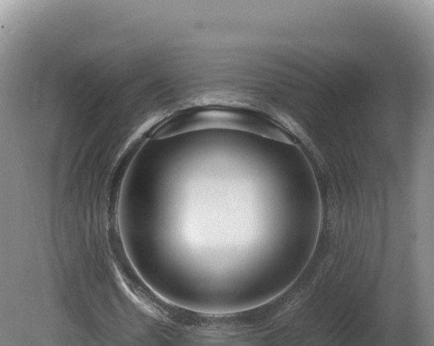 X0000081450530200701191716