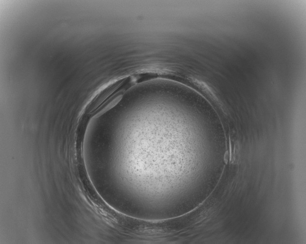 X0000081450531200701191716