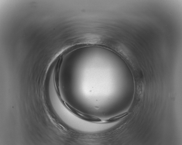 X0000081450532200701191716