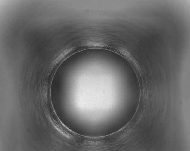 X0000081450533200701191716