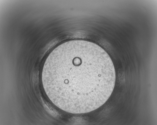 X0000081450534200701191716