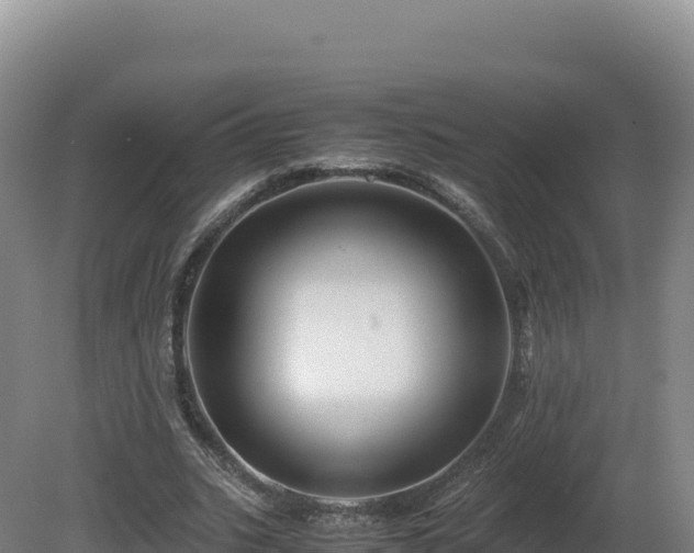 X0000081450535200701191716