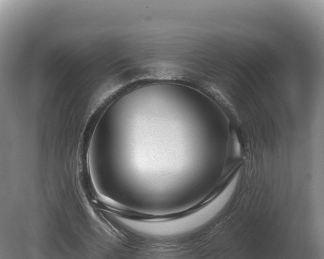 X0000081450536200701191716