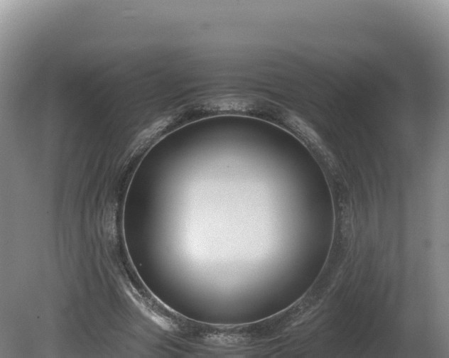 X0000081450537200701191716