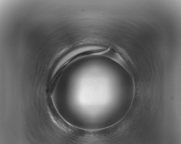 X0000081450538200701191716