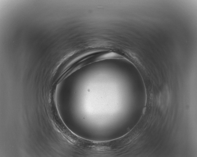 X0000081450539200701191716