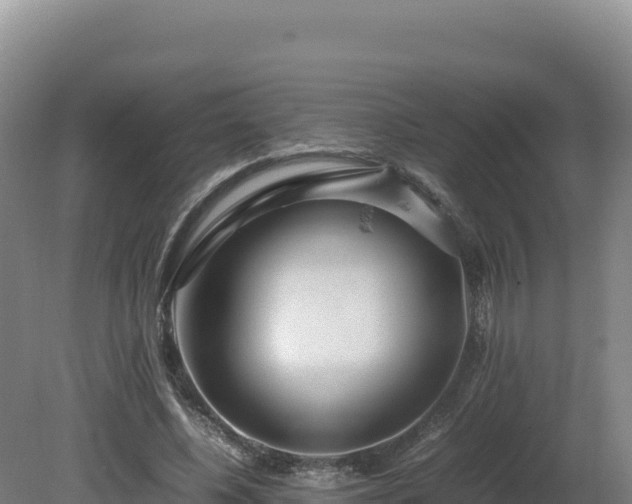 X0000081450540200701191716