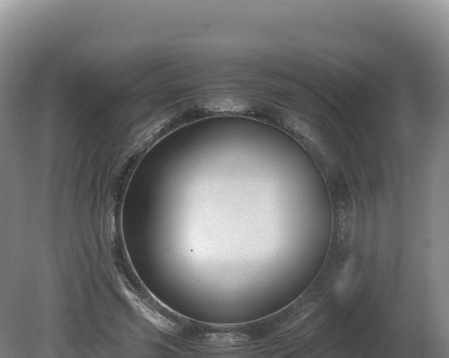 X0000081450541200701191716