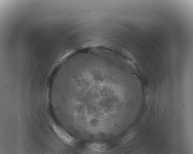 X0000081450542200701191716