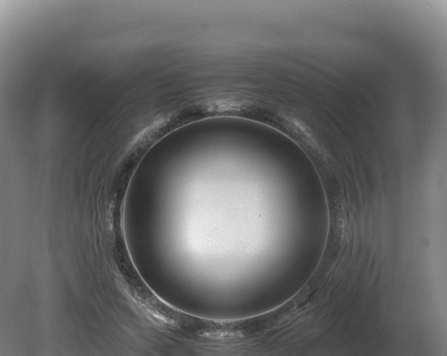 X0000081450543200701191716