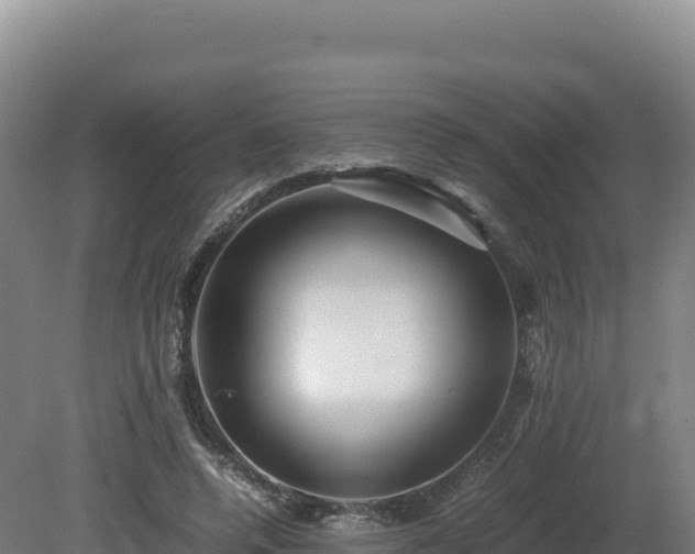 X0000081450544200701191716