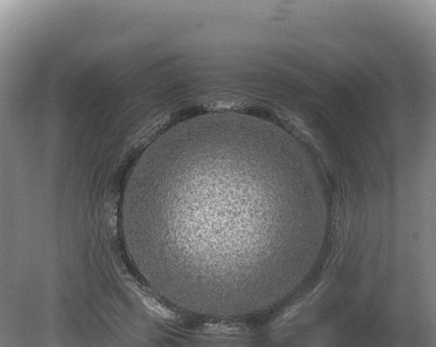 X0000081450545200701191716