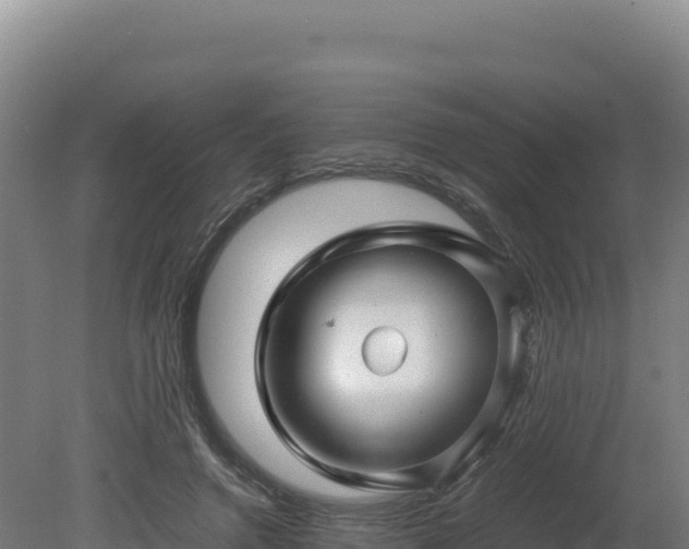 X0000081450546200701191716