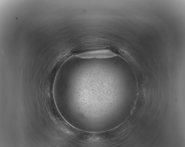 X0000081450547200701191716