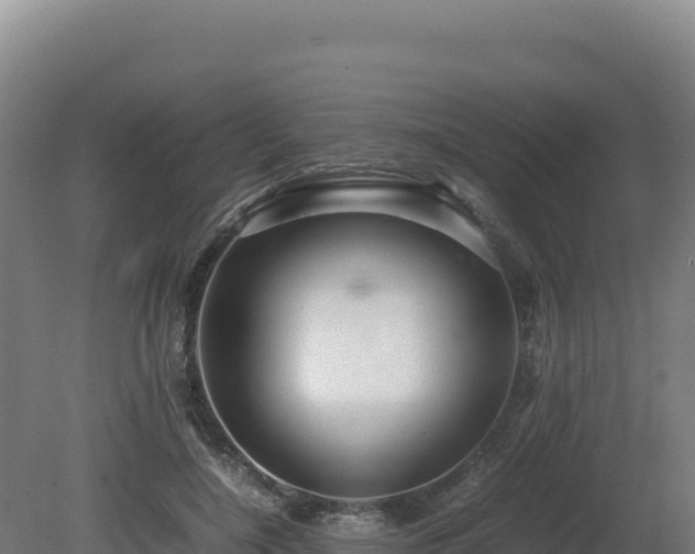 X0000081450548200701191716