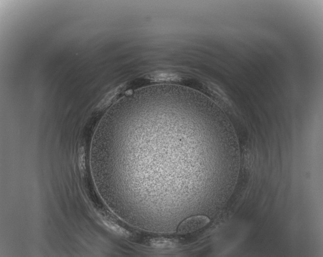 X0000081450549200701191716