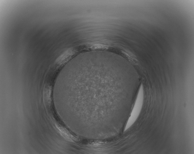 X0000081450550200701191716