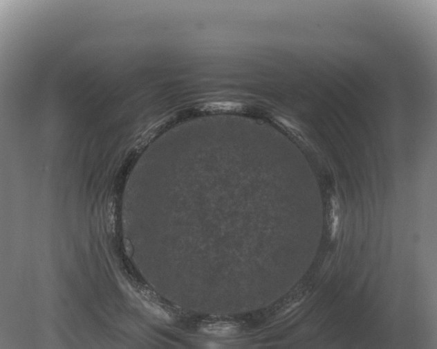 X0000081450551200701191716