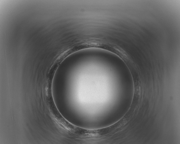 X0000081450552200701191716