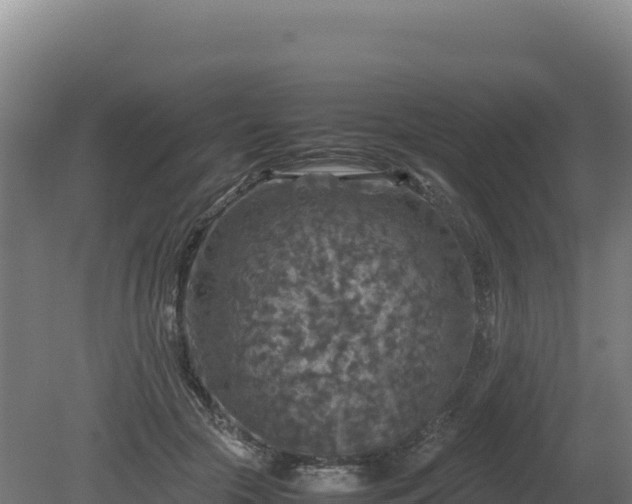 X0000081450553200701191716