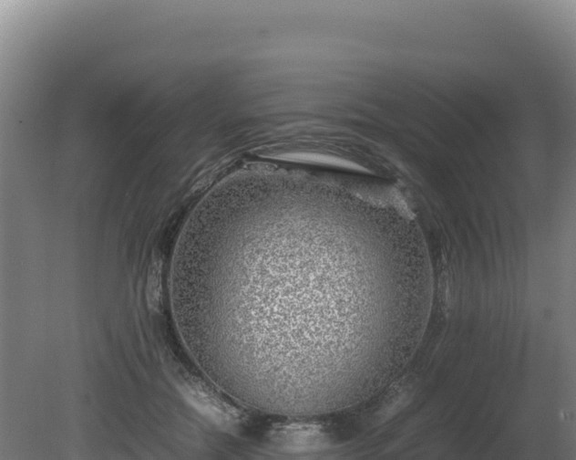 X0000081450554200701191717