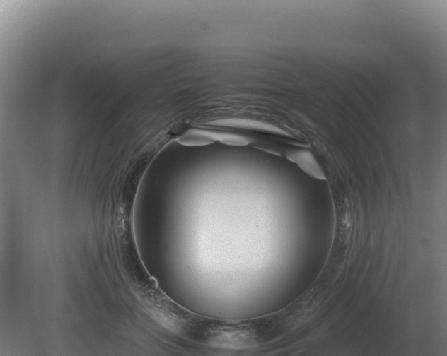 X0000081450555200701191717