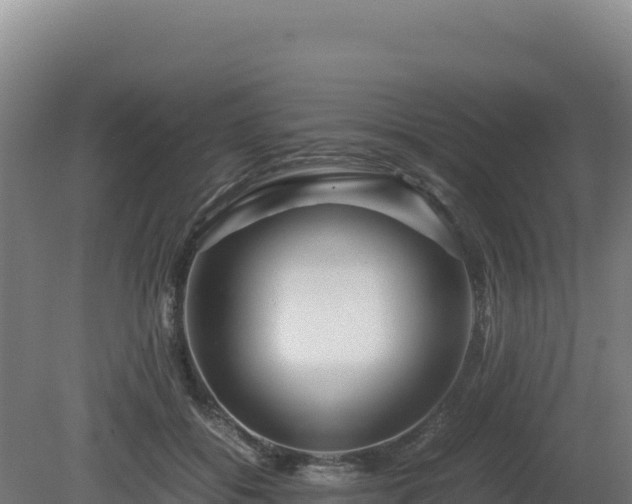 X0000081450556200701191717