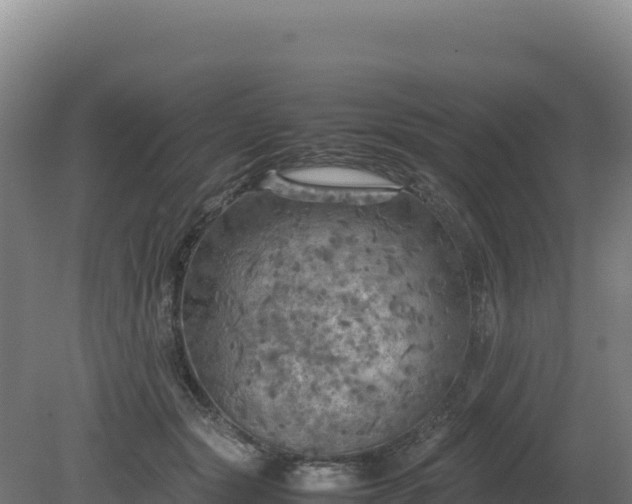 X0000081450557200701191717