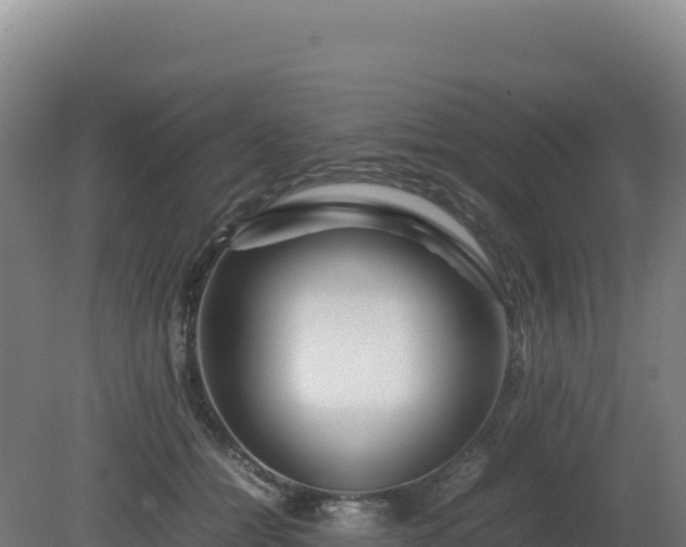 X0000081450558200701191717