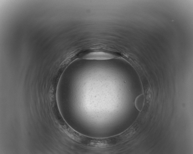 X0000081450559200701191717