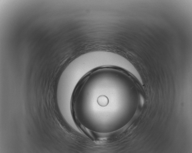 X0000081450560200701191717