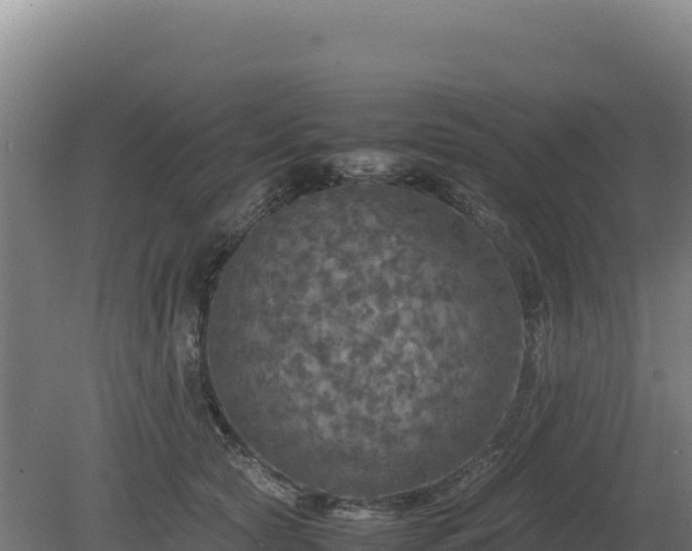 X0000081450561200701191717