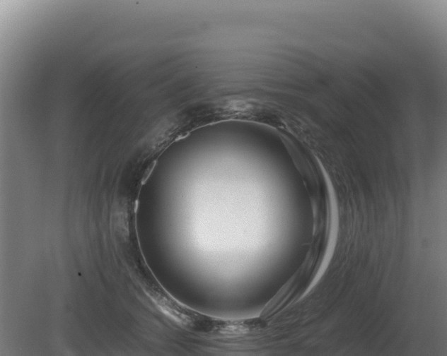 X0000081450562200701191717