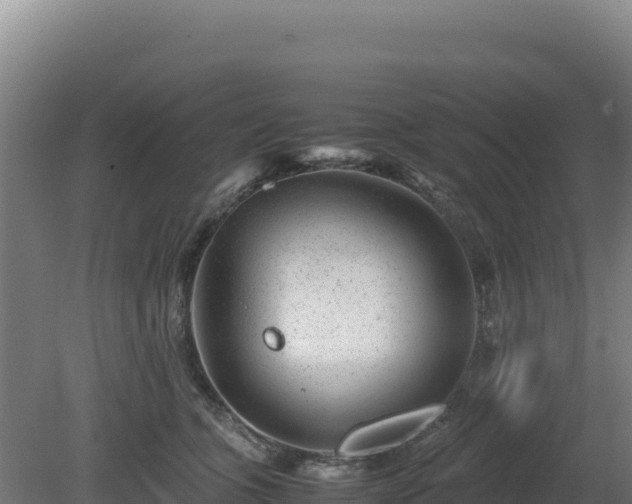 X0000081450563200701191717