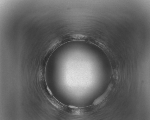 X0000081450564200701191717