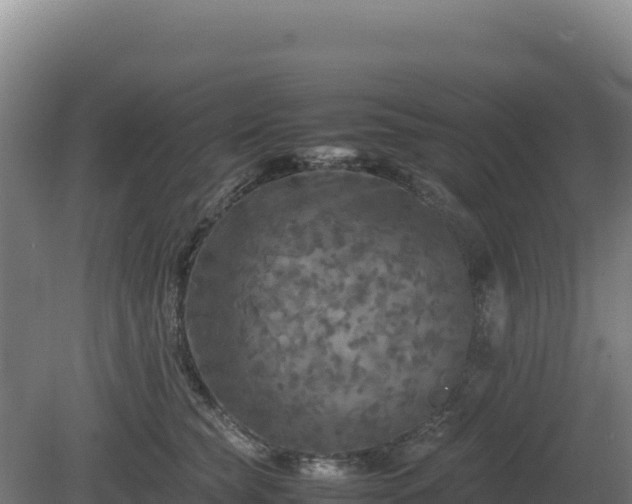 X0000081450565200701191717