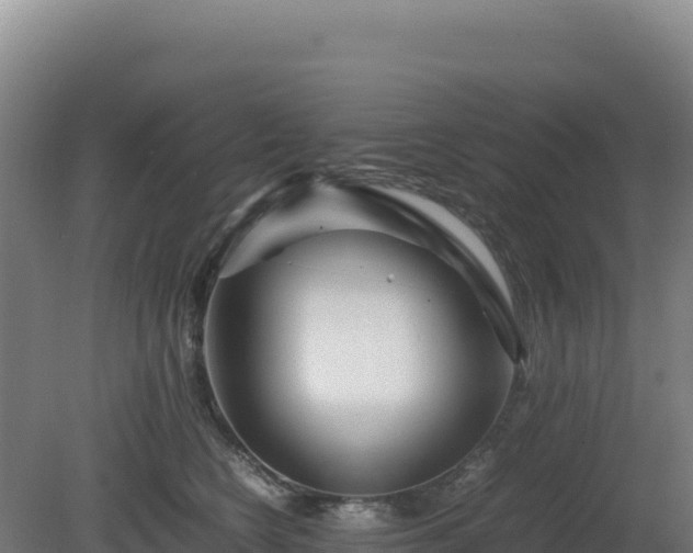 X0000081450566200701191717