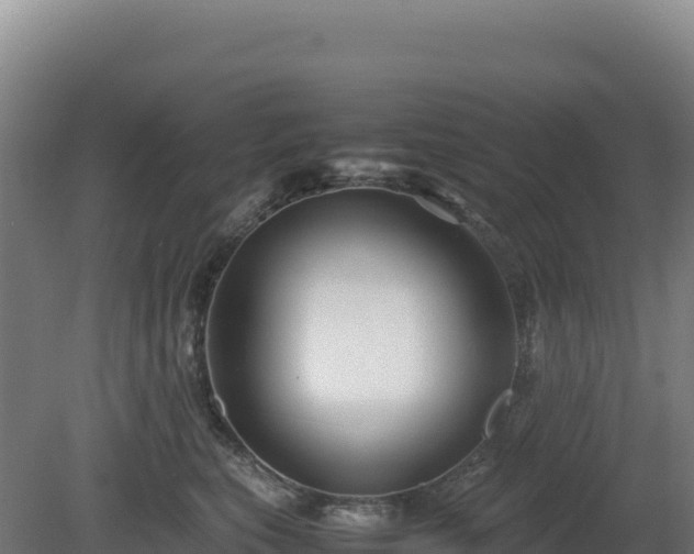 X0000081450567200701191717